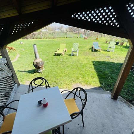 Greenpark Garden Villa Family Apartments Near Tokaj セレンチュ エクステリア 写真
