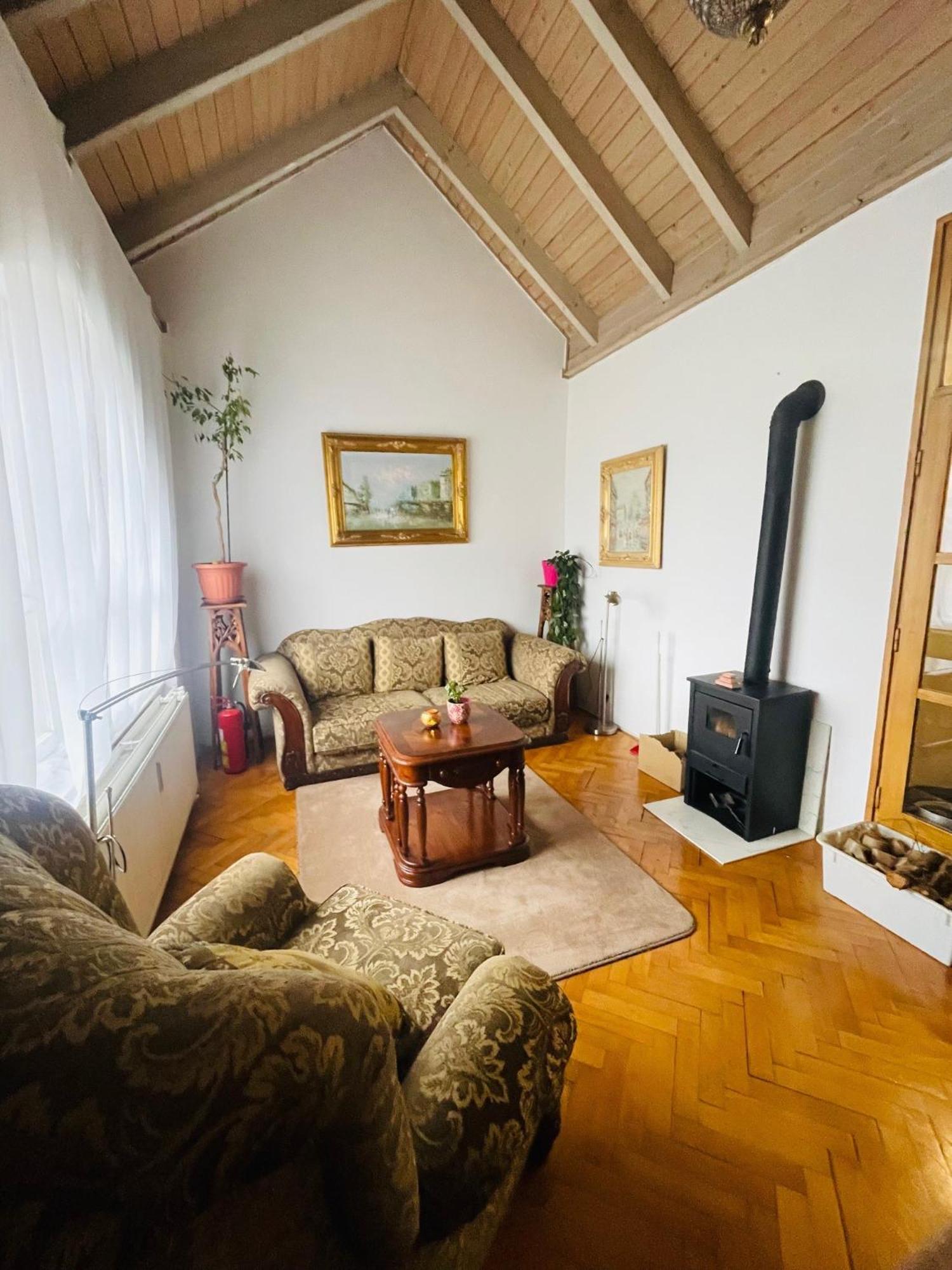 Greenpark Garden Villa Family Apartments Near Tokaj セレンチュ エクステリア 写真