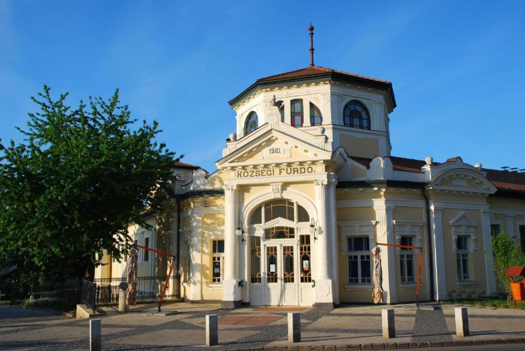 Greenpark Garden Villa Family Apartments Near Tokaj セレンチュ エクステリア 写真