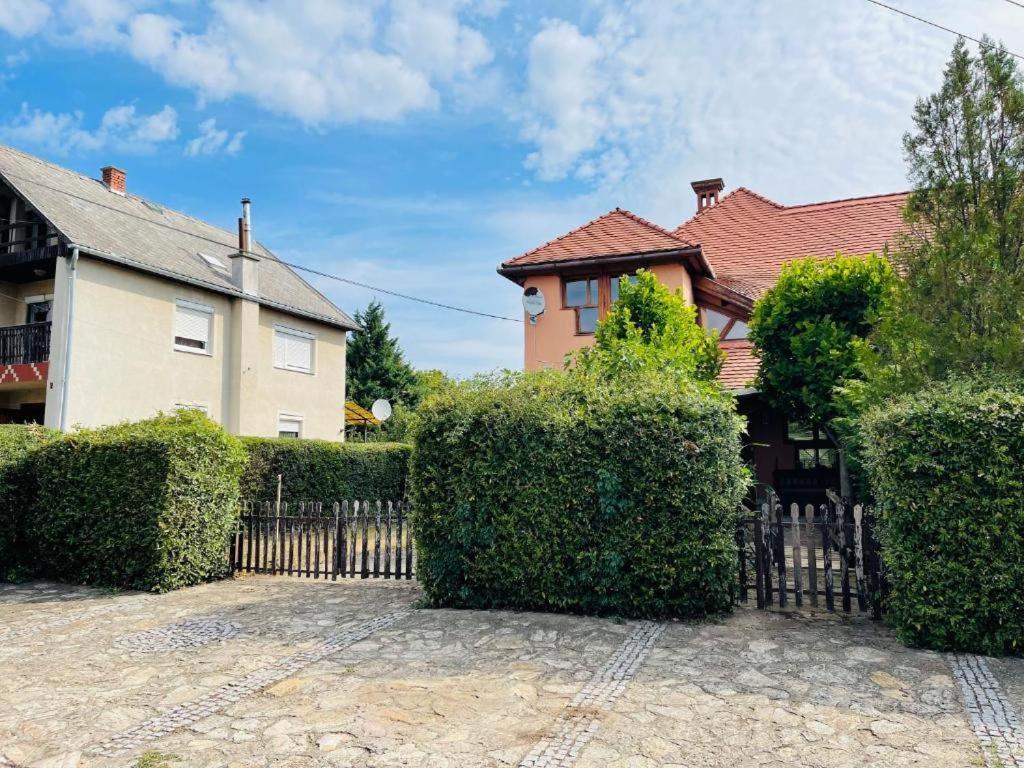 Greenpark Garden Villa Family Apartments Near Tokaj セレンチュ エクステリア 写真