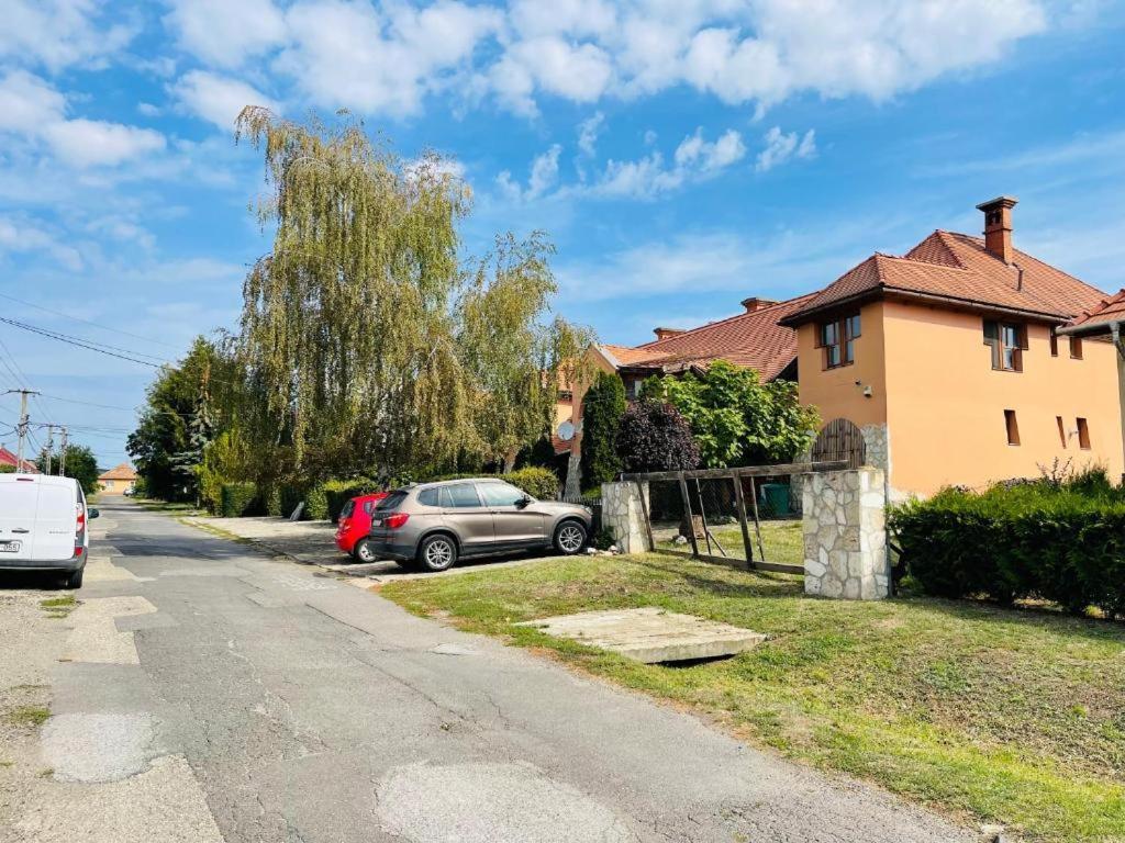 Greenpark Garden Villa Family Apartments Near Tokaj セレンチュ エクステリア 写真