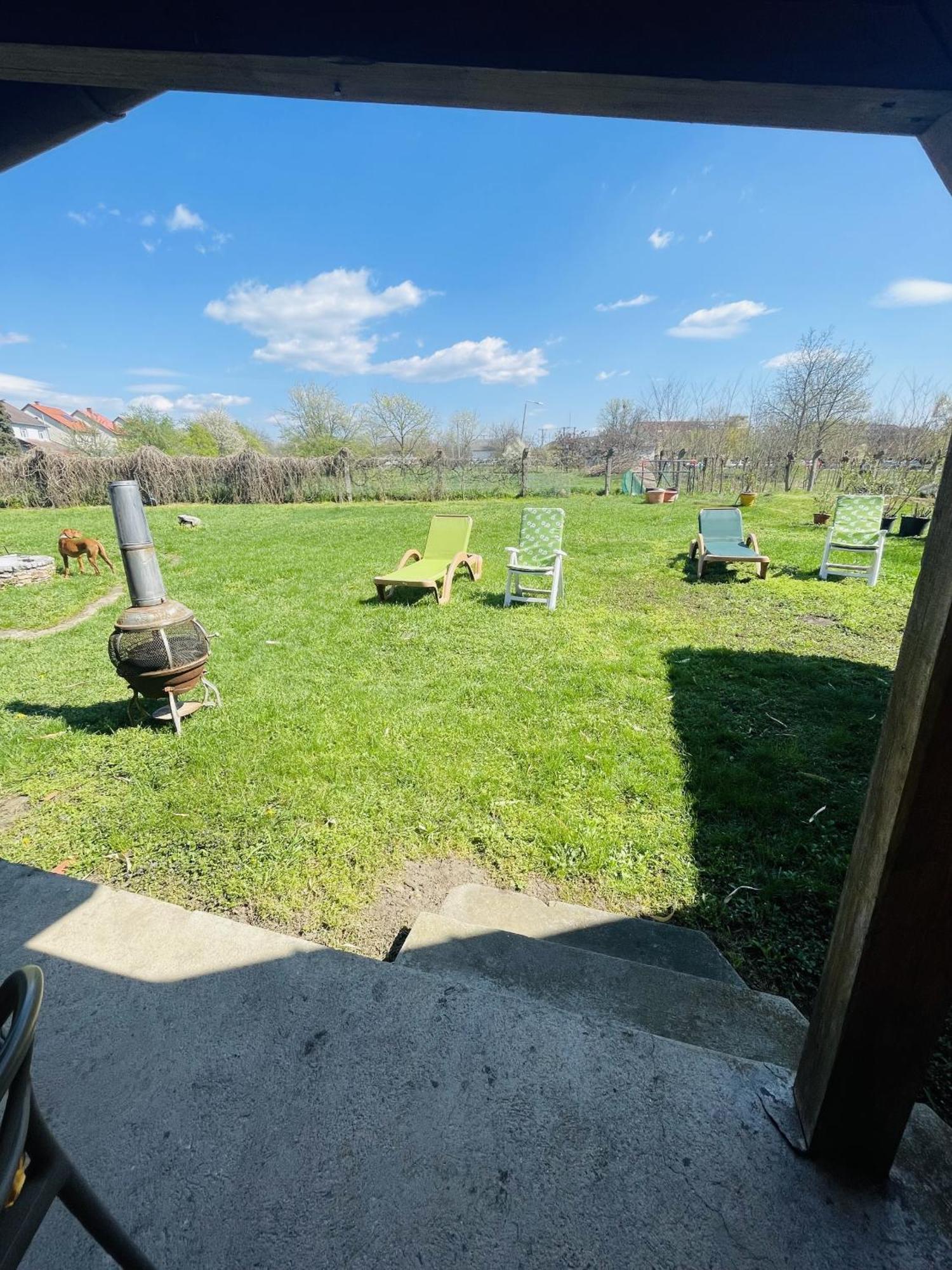 Greenpark Garden Villa Family Apartments Near Tokaj セレンチュ エクステリア 写真