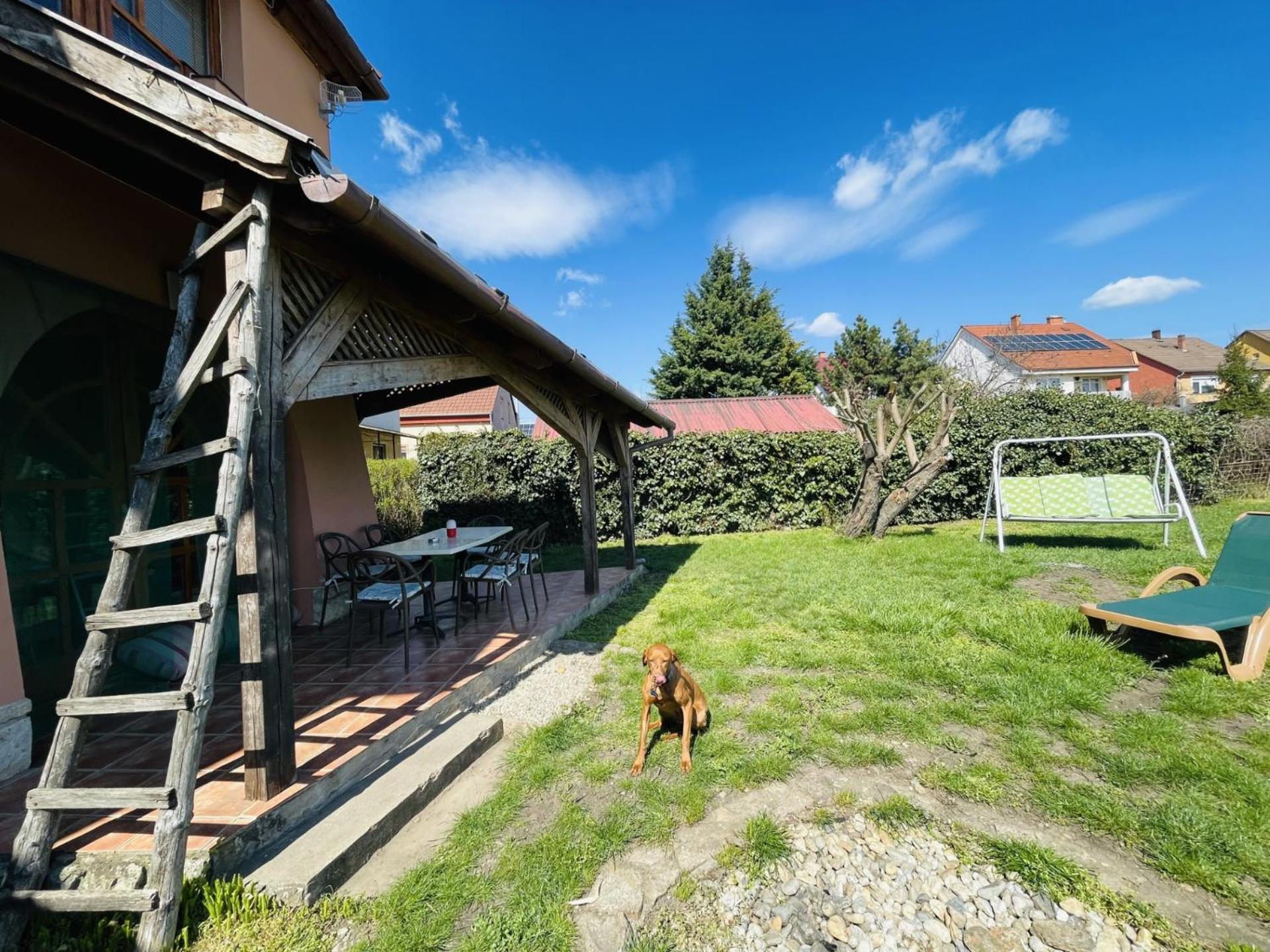 Greenpark Garden Villa Family Apartments Near Tokaj セレンチュ エクステリア 写真