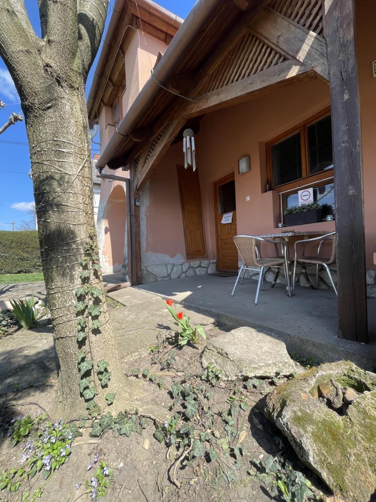 Greenpark Garden Villa Family Apartments Near Tokaj セレンチュ エクステリア 写真
