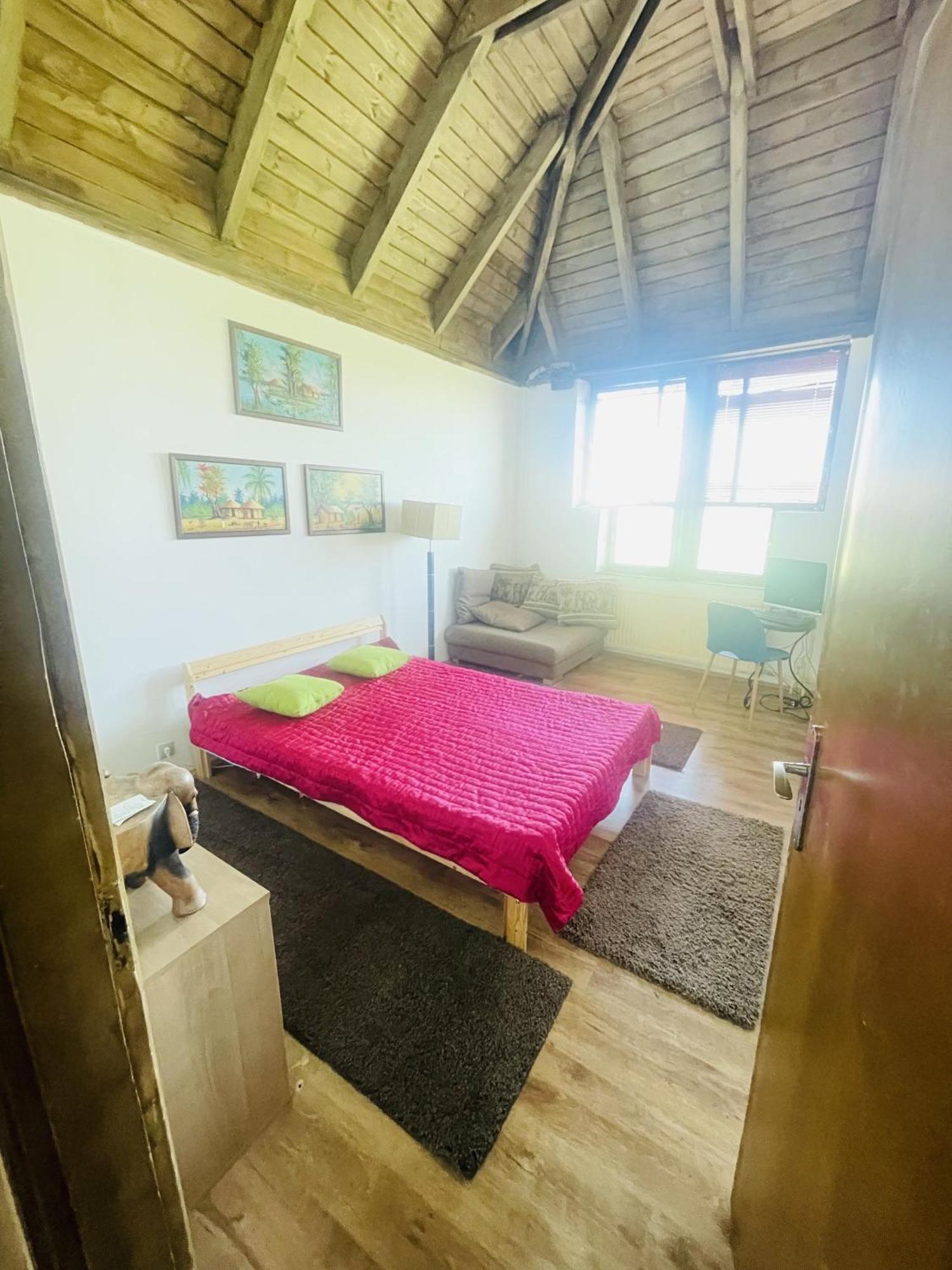 Greenpark Garden Villa Family Apartments Near Tokaj セレンチュ エクステリア 写真