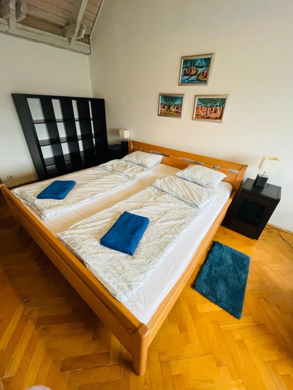 Greenpark Garden Villa Family Apartments Near Tokaj セレンチュ エクステリア 写真