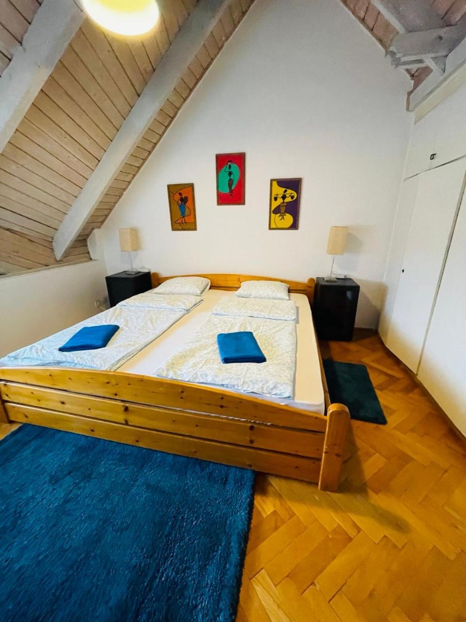 Greenpark Garden Villa Family Apartments Near Tokaj セレンチュ エクステリア 写真