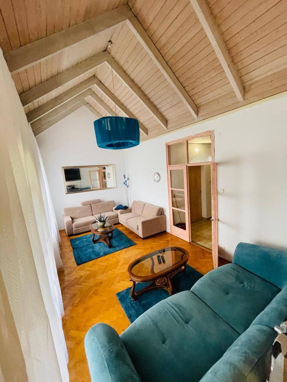 Greenpark Garden Villa Family Apartments Near Tokaj セレンチュ エクステリア 写真